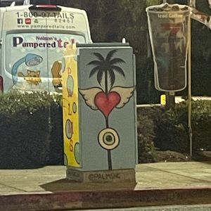 Meet your Posher, Grace